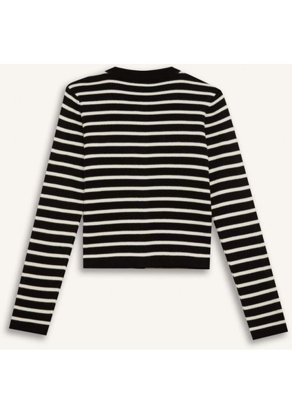 Regular Fit Bisiklet Yaka Çizgili Düğmeli Triko Hırka D3307AX24WN