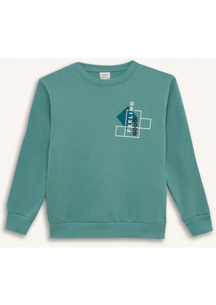 Erkek Çocuk Bisiklet Yaka Baskılı Sweatshirt D3027A824WN