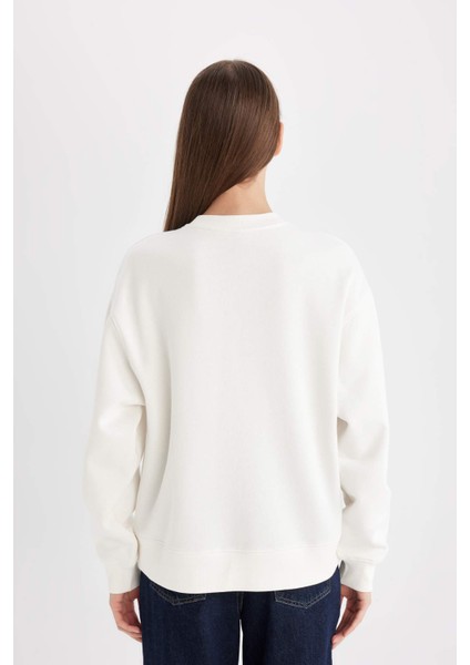 Relax Fit Bisiklet Yaka Baskılı Kalın Sweatshirt D3134AX24WN