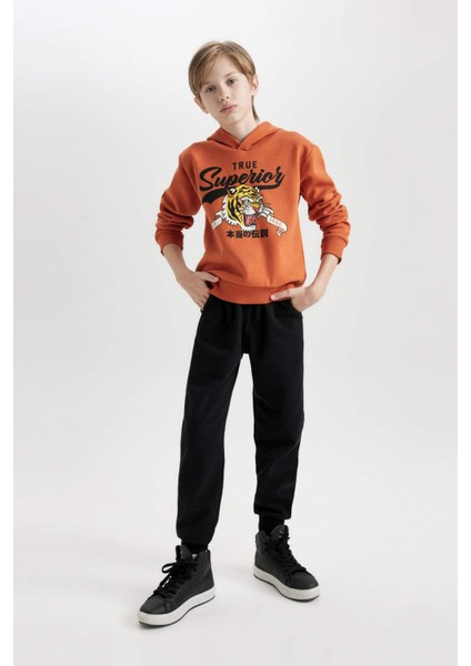 Erkek Çocuk 2'li Takım Kaplan Baskılı Kapüşonlu Sweatshirt Beli Lastikli Jogger Eşofman Altı D3559A824WN