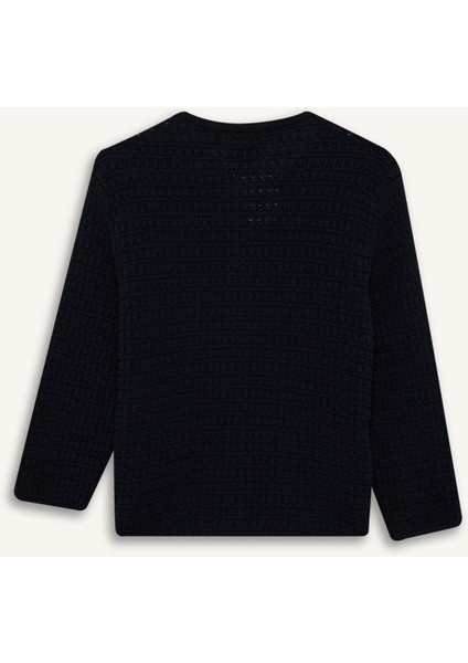 Regular Fit Bisiklet Yaka Dokulu Düğmeli Triko Hırka D3304AX24WN