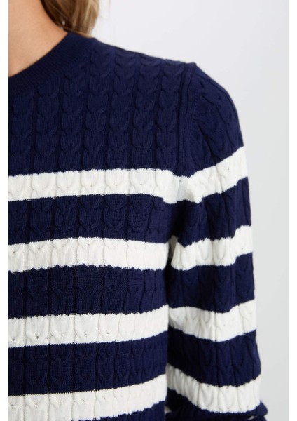 Regular Fit Çizgili Bisiklet Yaka Düğmeli Triko Hırka A2138AX24WN