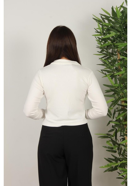 2652 Polo Yaka Ribana Bluz fırsatları