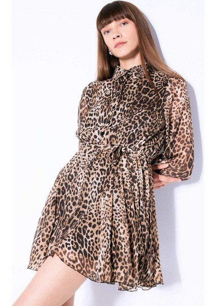 Gömlek Yaka Leopar Desenli Düğmeli Kemerli Uzun Kollu Mini Elbise D3956AX24AU