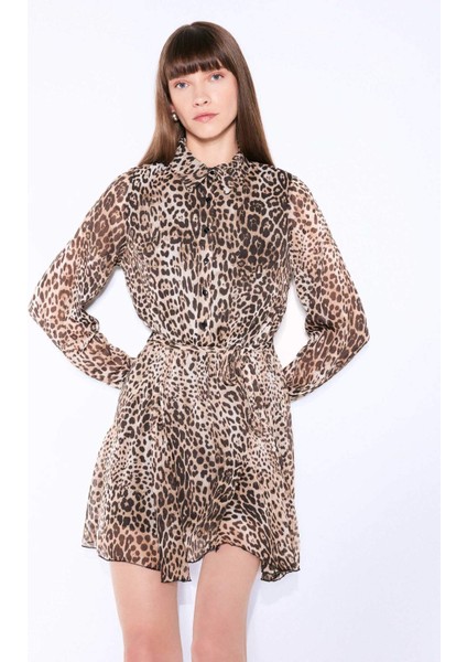 Gömlek Yaka Leopar Desenli Düğmeli Kemerli Uzun Kollu Mini Elbise D3956AX24AU