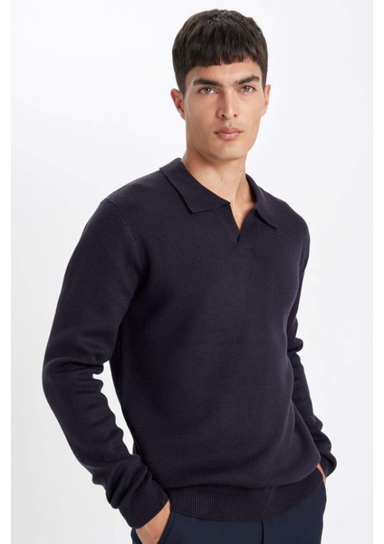 Standart Fit Normal Kesim Polo Yaka Triko Kazak D4046AX24WN