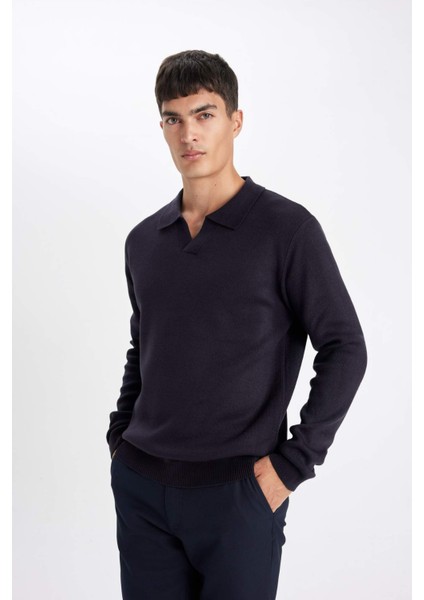 Standart Fit Normal Kesim Polo Yaka Triko Kazak D4046AX24WN