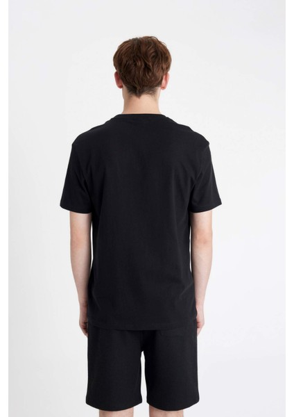 Regular Fit Bisiklet Yaka Baskılı Kısa Kollu Tişört D4765AX24SM