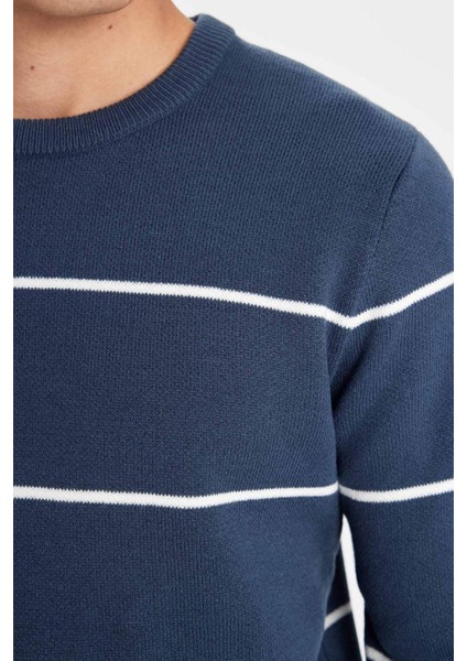 Standart Fit Normal Kesim Bisiklet Yaka Çizgili Triko Kazak D3588AX24WN