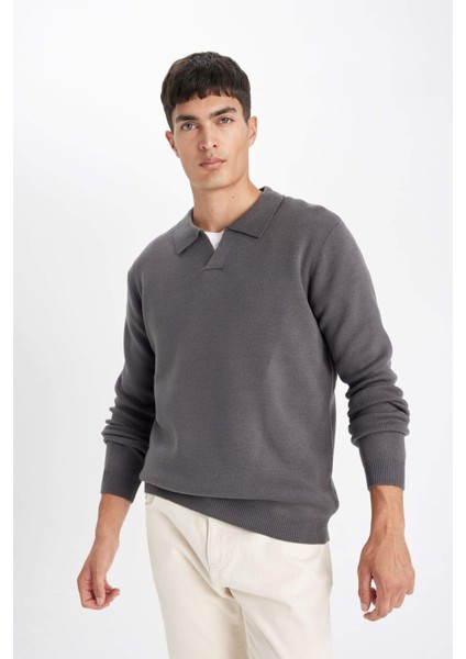 Standart Fit Normal Kesim Polo Yaka Triko Kazak D4046AX24WN