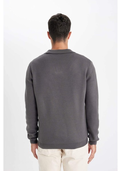 Standart Fit Normal Kesim Polo Yaka Triko Kazak D4046AX24WN