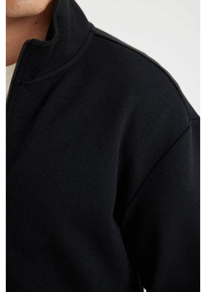 Comfort Regular Fit Rahat Kesim Dik Yaka Cepli Basic Düz Fermuarlı Sweatshirt D4971AX24AU