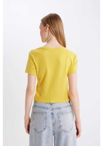 Fitted Bisiklet Yaka Ribana Basic Düz Kısa Kollu Tişört T9631AZ24AU