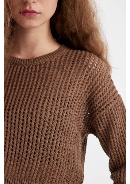 Regular Fit Bisiklet Yaka Kroşe Ajurlu Delikli Crop Triko Kazak T4513AZ24AU