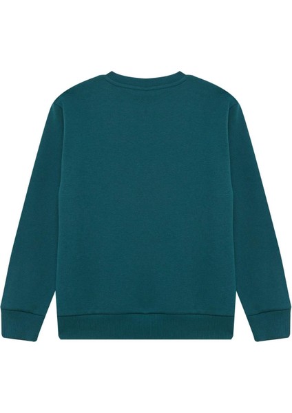 Erkek Çocuk Bisiklet Yaka Baskılı Sweatshirt D3036A824WN