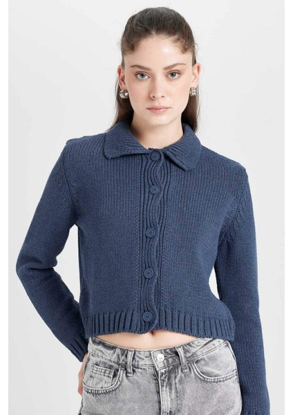 Regular Fit Polo Yaka Basic Düz Düğmeli Triko Hırka D5395AX24AU