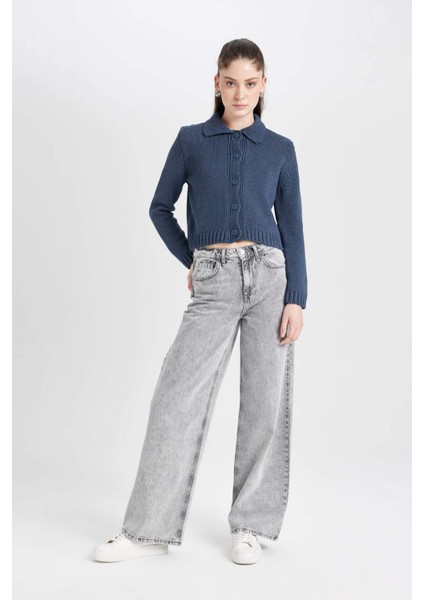 Regular Fit Polo Yaka Basic Düz Düğmeli Triko Hırka D5395AX24AU