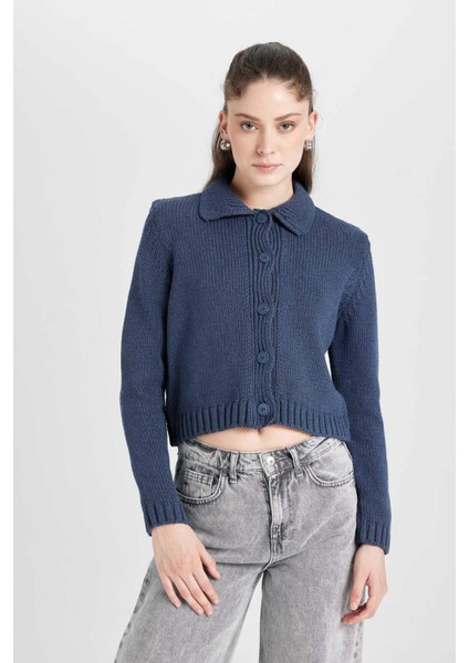 Regular Fit Polo Yaka Basic Düz Düğmeli Triko Hırka D5395AX24AU