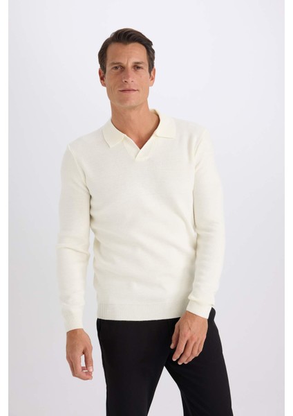 Standart Fit Normal Kesim Polo Yaka Triko Kazak D4046AX24WN