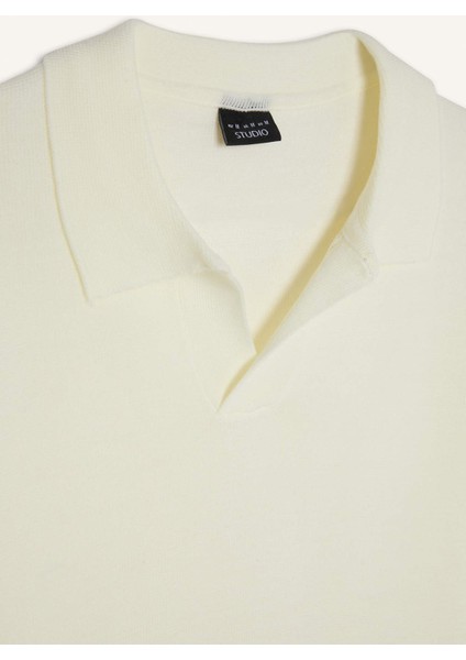 Standart Fit Normal Kesim Polo Yaka Triko Kazak D4046AX24WN