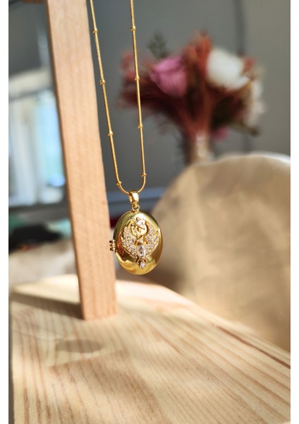 Kapaklı Fotoğraflık Taşlı Anka Kuşu Alya Çelik Kolyesi fiyatları