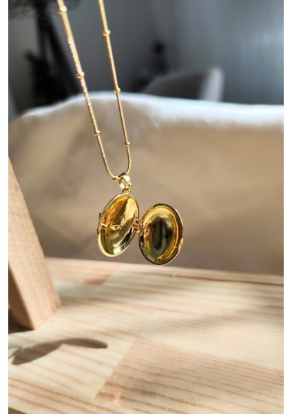 Kapaklı Fotoğraflık Taşlı Anka Kuşu Alya Çelik Kolyesi modelleri