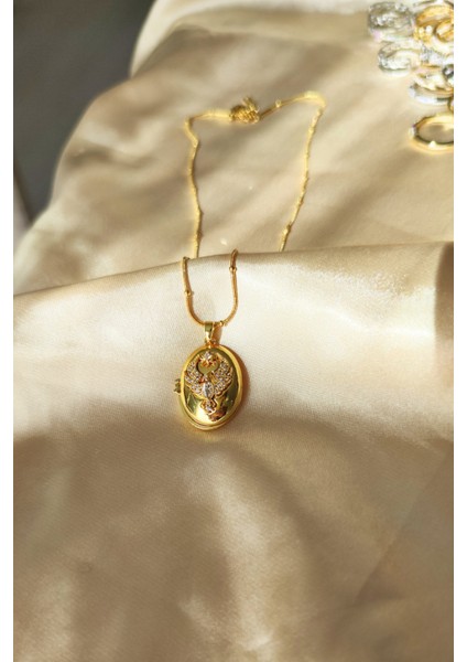 Kapaklı Fotoğraflık Taşlı Anka Kuşu Alya Çelik Kolyesi fırsatları