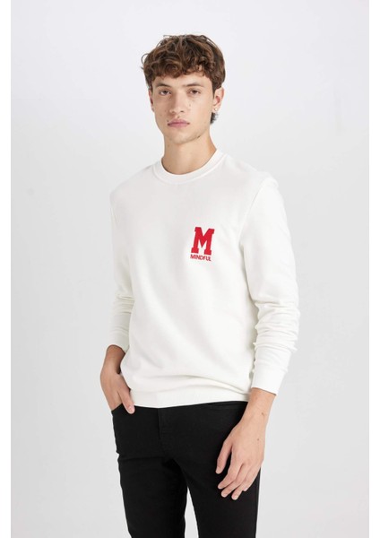 New Regular Fit Bisiklet Yaka Baskılı Kalın Sweatshirt D3670AX24AU