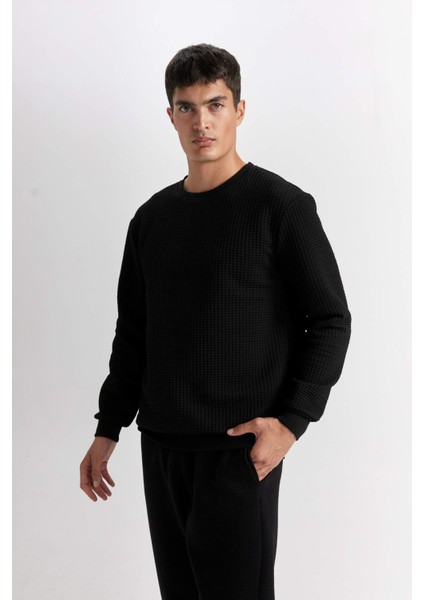 Siyah Regular Fit Bisiklet Yaka Jakarlı Sweatshirt D5392AX24AU