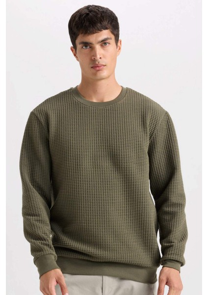 Regular Fit Bisiklet Yaka Jakarlı Sweatshirt D5392AX24AU