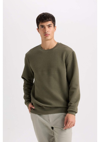 Regular Fit Bisiklet Yaka Jakarlı Sweatshirt D5392AX24AU