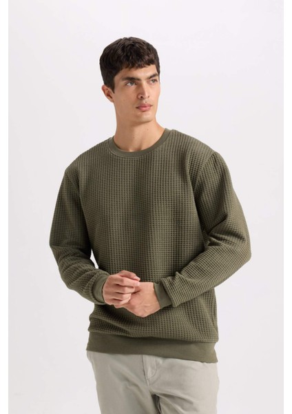 Regular Fit Bisiklet Yaka Jakarlı Sweatshirt D5392AX24AU