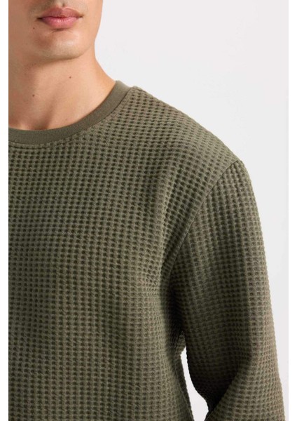 Regular Fit Bisiklet Yaka Jakarlı Sweatshirt D5392AX24AU