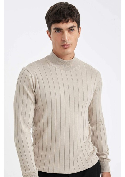 Standart Fit Normal Kesim Yarım Balıkçı Yaka Jakarlı Triko Kazak D2943AX24AU