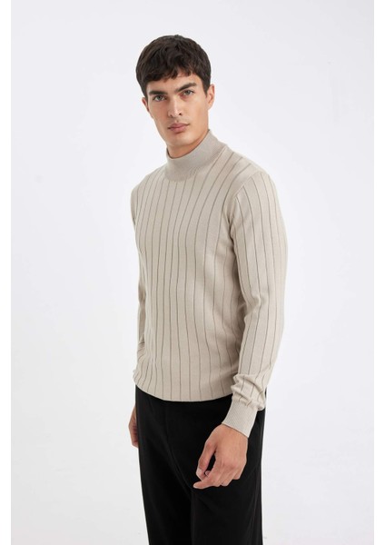 Standart Fit Normal Kesim Yarım Balıkçı Yaka Jakarlı Triko Kazak D2943AX24AU