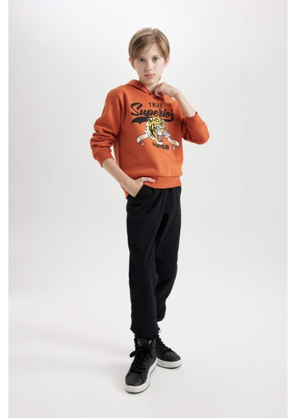 Erkek Çocuk 2'li Takım Kaplan Baskılı Kapüşonlu Sweatshirt Beli Lastikli Jogger Eşofman Altı D3559A824WN