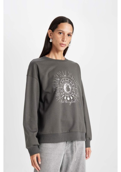 Relax Fit Bisiklet Yaka Baskılı İnce Sweatshirt D5925AX24AU