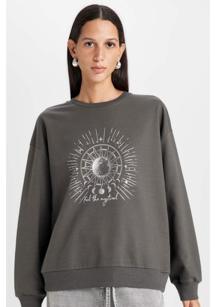 Relax Fit Bisiklet Yaka Baskılı İnce Sweatshirt D5925AX24AU