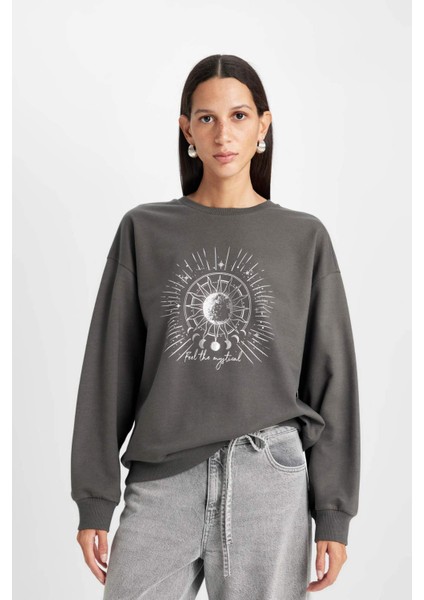 Relax Fit Bisiklet Yaka Baskılı İnce Sweatshirt D5925AX24AU