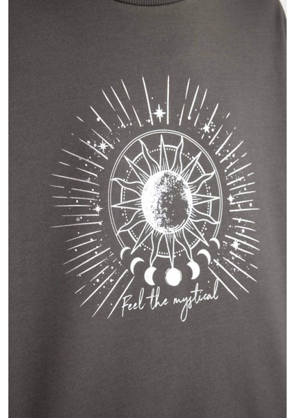 Relax Fit Bisiklet Yaka Baskılı İnce Sweatshirt D5925AX24AU