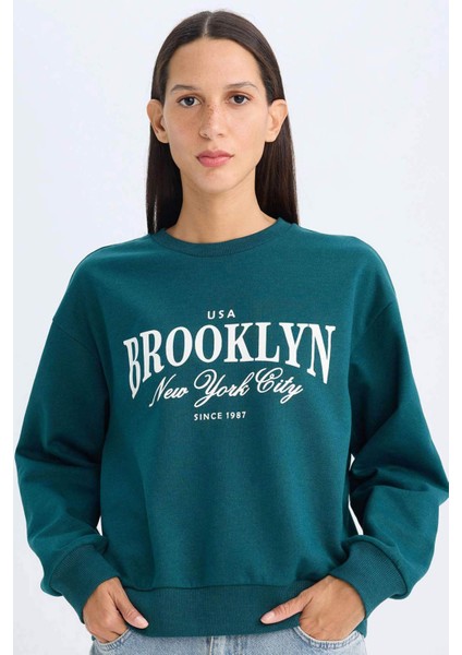 Regular Fit Bisiklet Yaka Baskılı İnce Sweatshirt D5928AX24AU