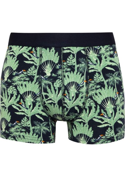 Erkek Regular Fit Desenli 3'lü Boxer D2333AX24WN