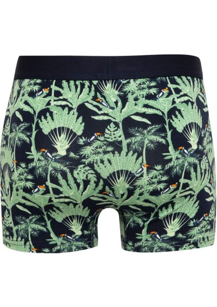 Erkek Regular Fit Desenli 3'lü Boxer D2333AX24WN