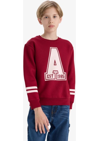 Erkek Çocuk Bisiklet Yaka Baskılı Sweatshirt D4342A824WN