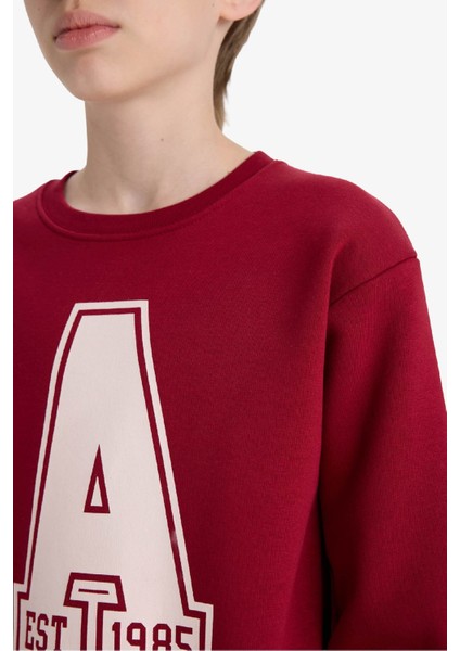 Erkek Çocuk Bisiklet Yaka Baskılı Sweatshirt D4342A824WN