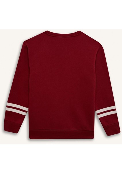 Erkek Çocuk Bisiklet Yaka Baskılı Sweatshirt D4342A824WN