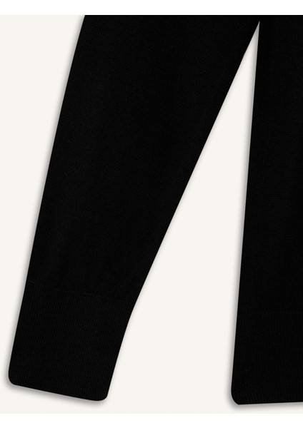 Regular Fit Bisiklet Yaka Basic Düz Siyah Triko Kazak D6281AX25SP