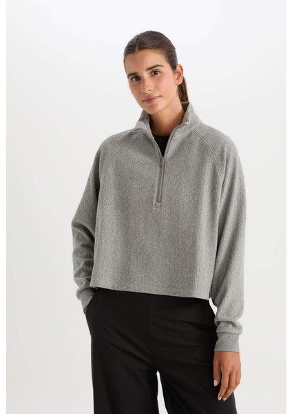 Fit Fermuarlı Dik Yaka Sporcu Sweatshirt D1703AX24AU