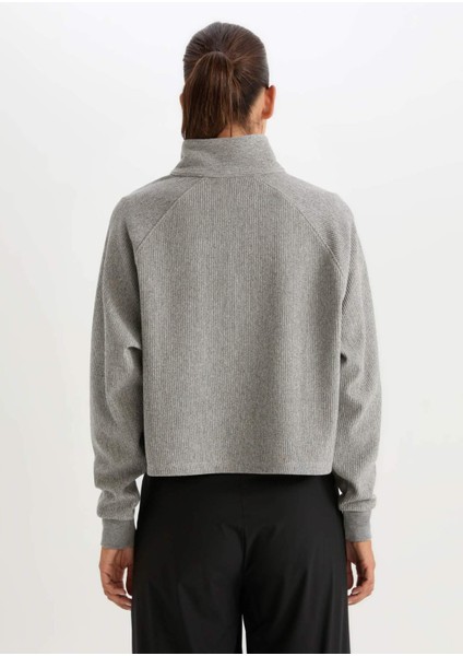 Fit Fermuarlı Dik Yaka Sporcu Sweatshirt D1703AX24AU