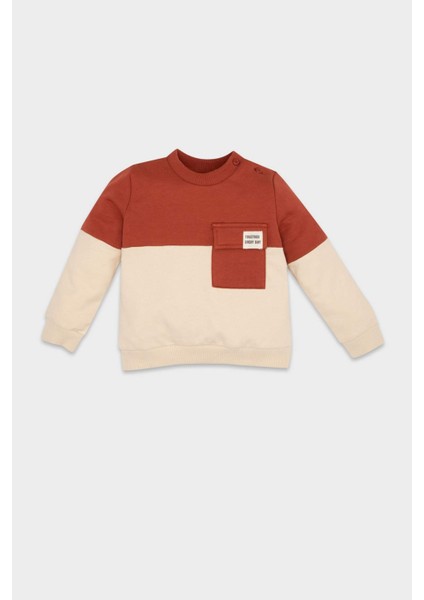 Erkek Bebek Bisiklet Yaka Renk Bloklu İçi Yumuşak Tüylü Sweatshirt D6230A5NS
